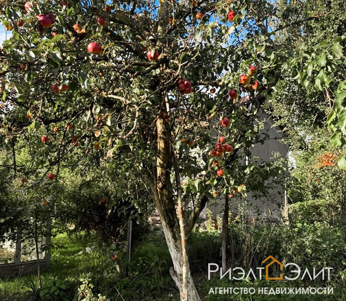 Дачный домик